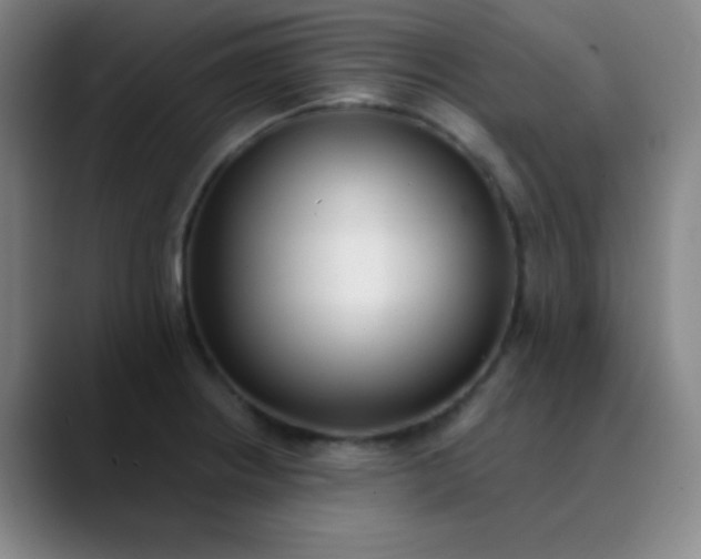 X0000089861234200707121730