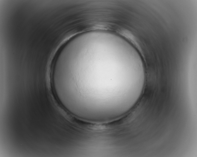 X0000089861235200707121730