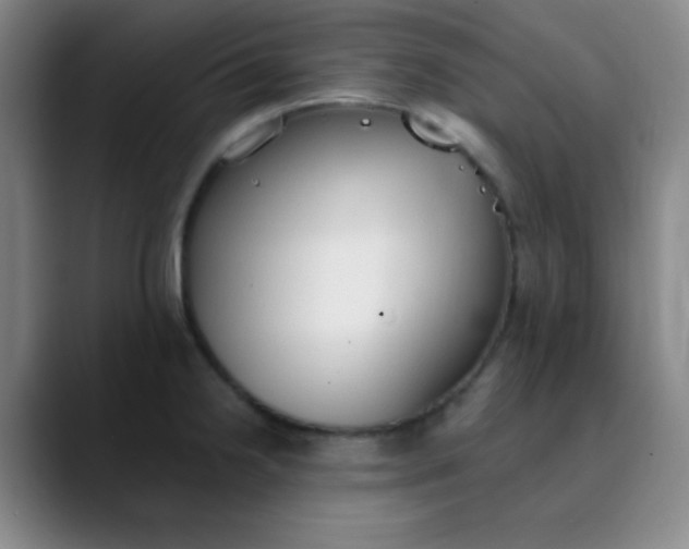 X0000089861238200707121730