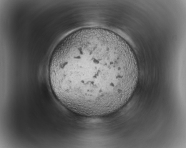 X0000089861239200707121730