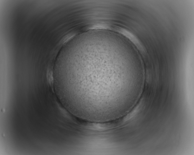 X0000089861241200707121730