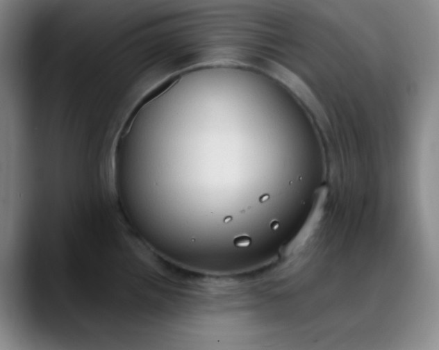 X0000089861242200707121730