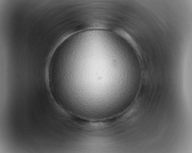 X0000089861243200707121730