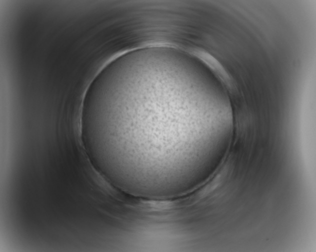 X0000089861244200707121730