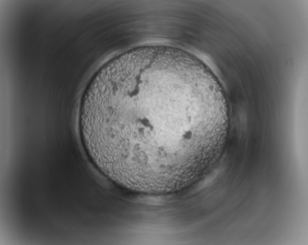 X0000089861245200707121730