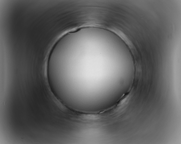 X0000089861246200707121730