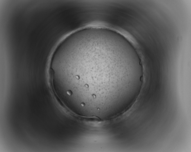 X0000089861248200707121730