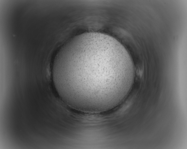 X0000089861252200707121730