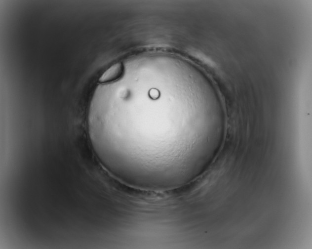 X0000089861255200707121730