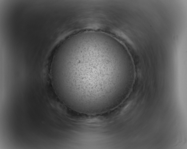 X0000089861256200707121730