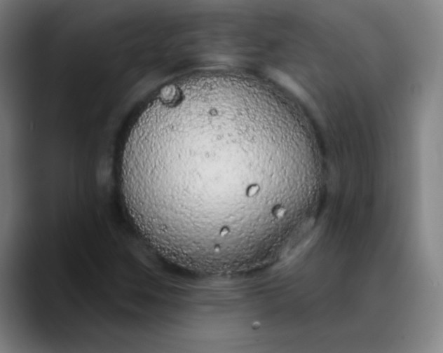 X0000089861259200707121730