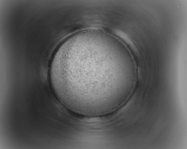 X0000089861260200707121730