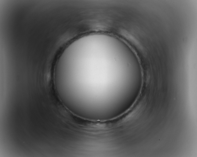 X0000089861261200707121730