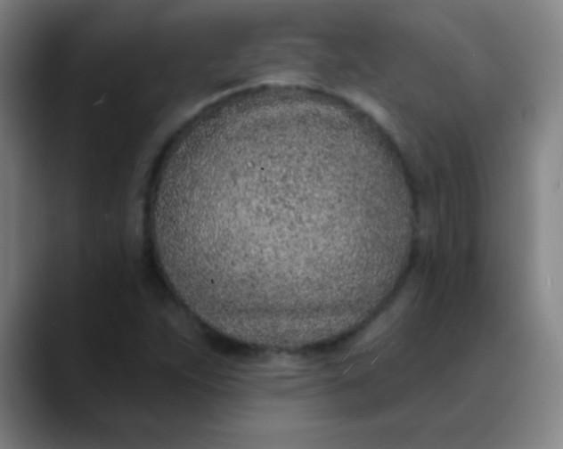 X0000089861263200707121729