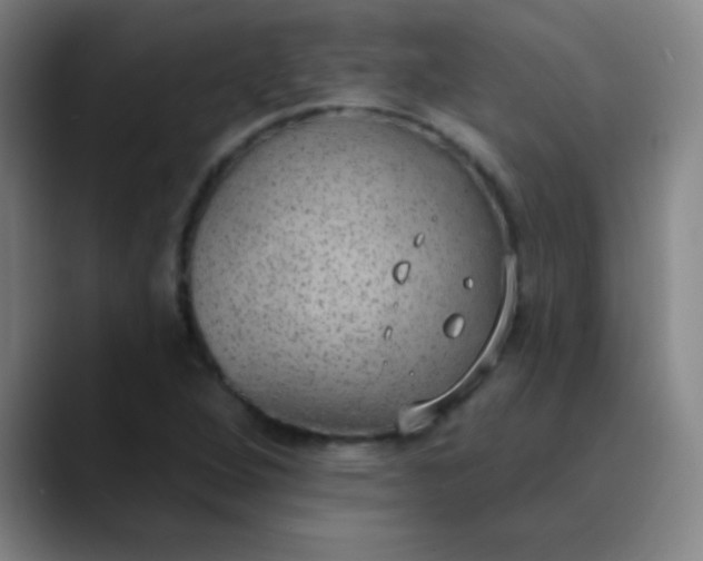 X0000089861264200707121729