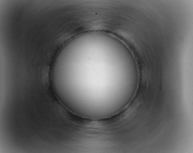 X0000089861265200707121729