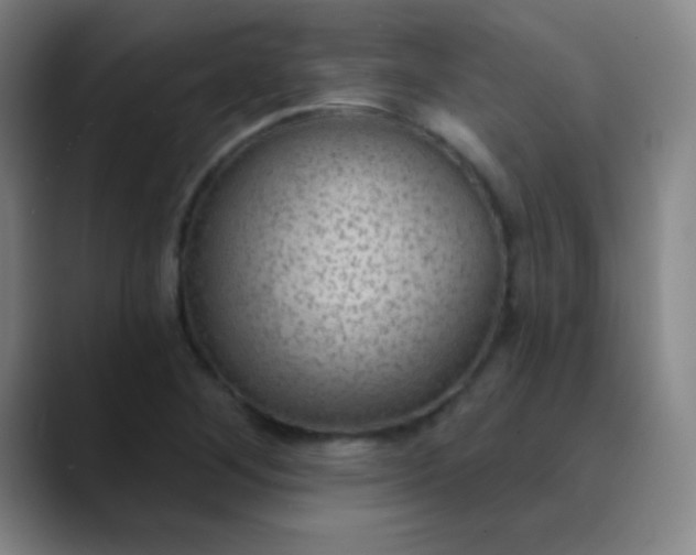 X0000089861268200707121729