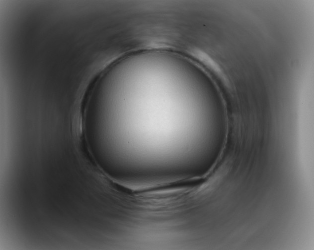 X0000089861269200707121729