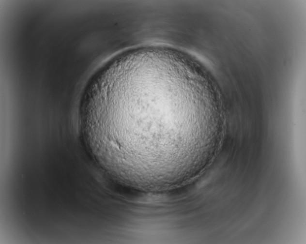 X0000089861271200707121729