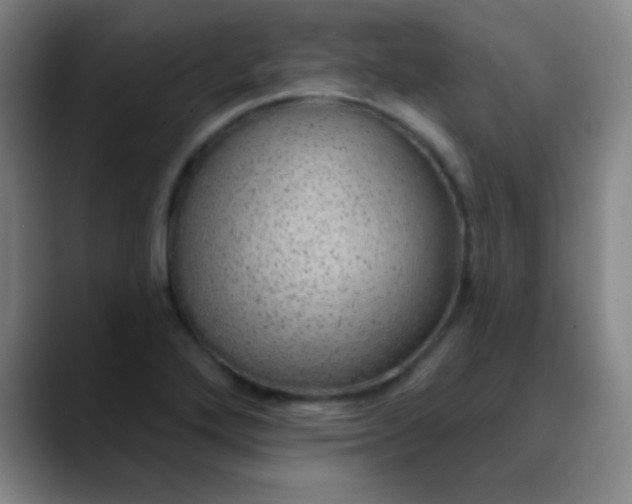 X0000089861272200707121729