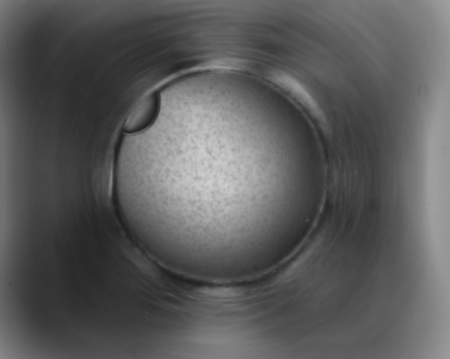 X0000089861276200707121729