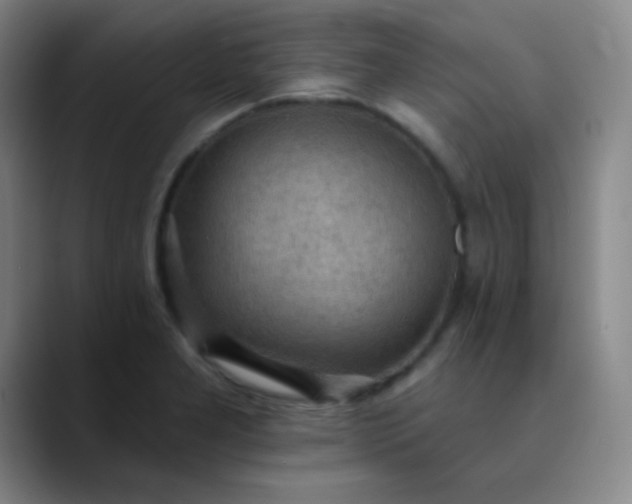 X0000089861277200707121729