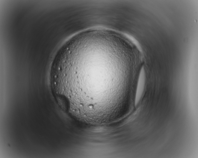 X0000089861279200707121729