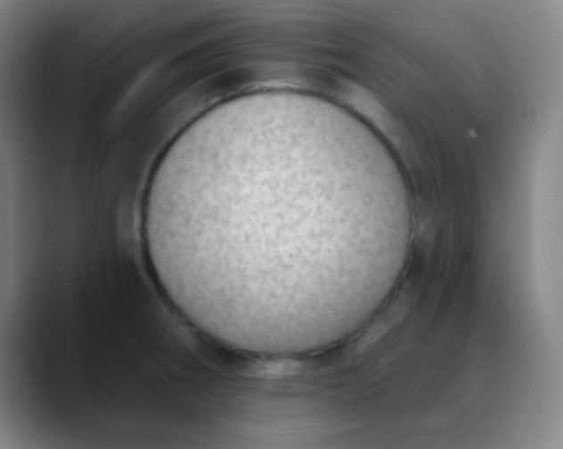 X0000089861282200707121729