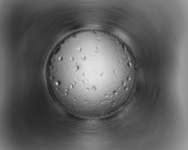 X0000089861283200707121729