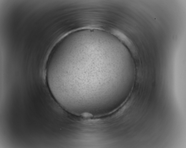 X0000089861284200707121729