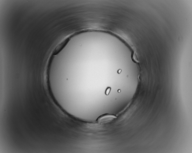 X0000089861285200707121729