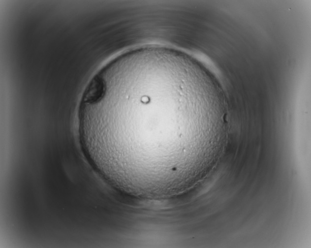 X0000089861287200707121729