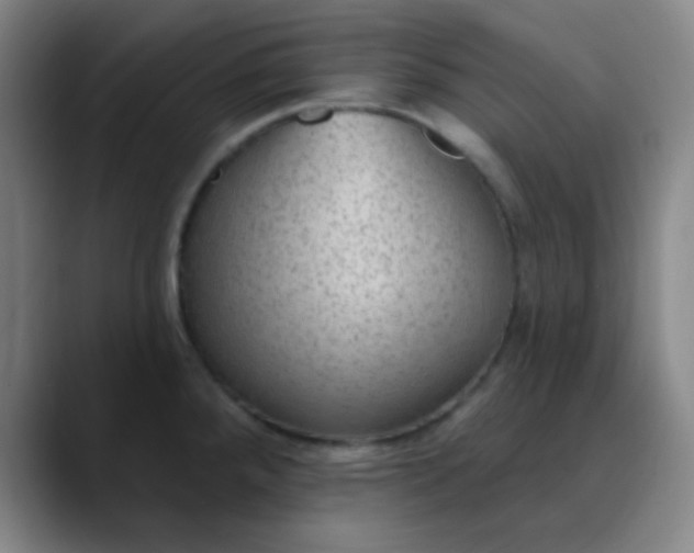 X0000089861288200707121729