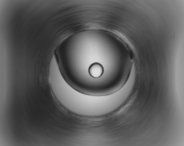 X0000089861289200707121729