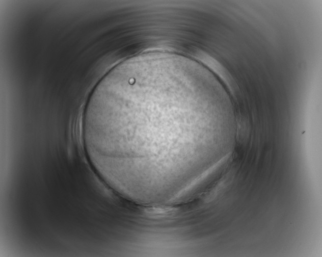 X0000089861290200707121729