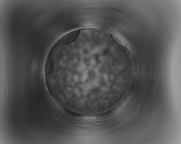 X0000089861291200707121729