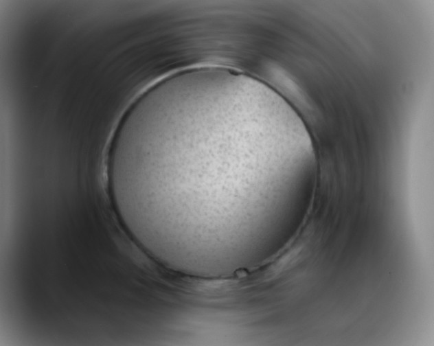 X0000089861292200707121729