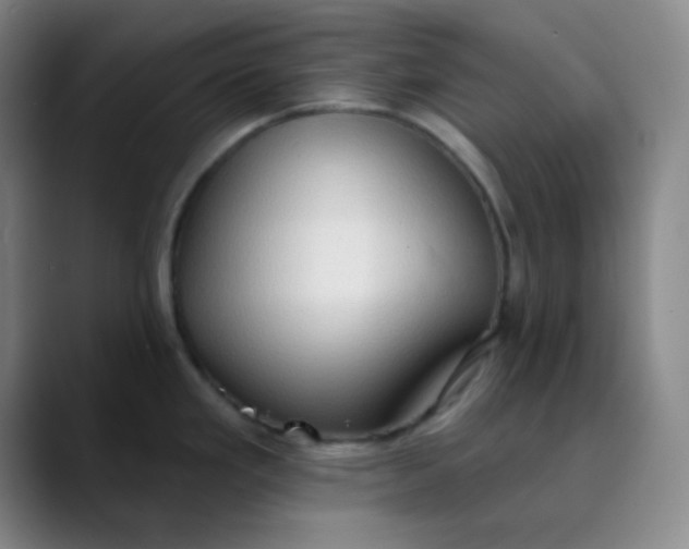 X0000089861293200707121729