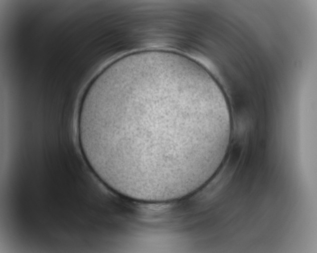 X0000089861294200707121729