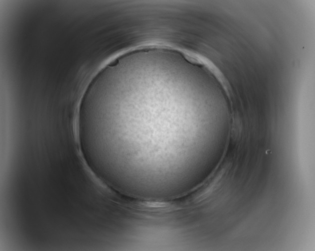 X0000089861295200707121729