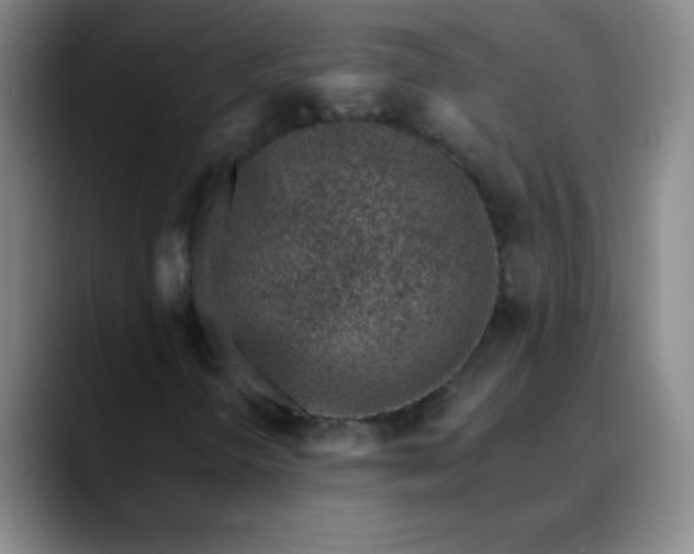 X0000089861298200707121729