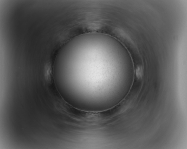 X0000089861299200707121729