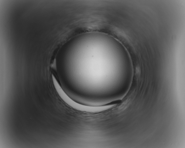 X0000089861300200707121729