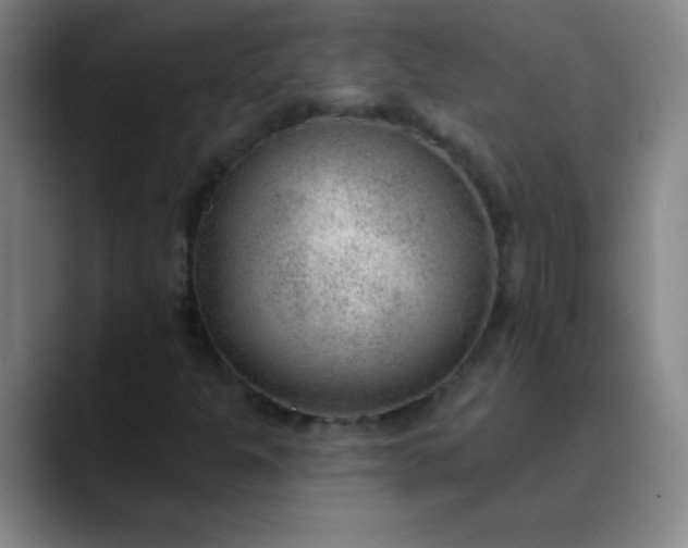 X0000089861301200707121729