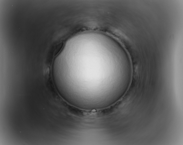 X0000089861302200707121729