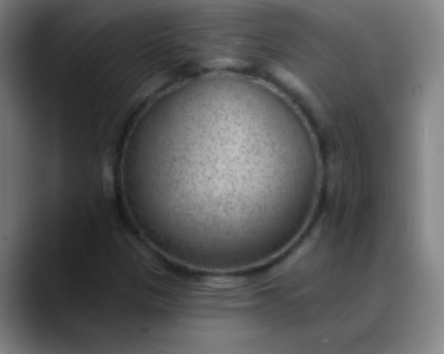 X0000089861305200707121729