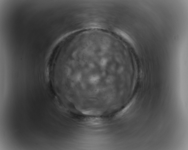 X0000089861310200707121729