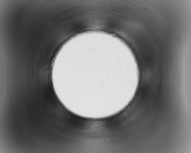 X0000089861314200707121729