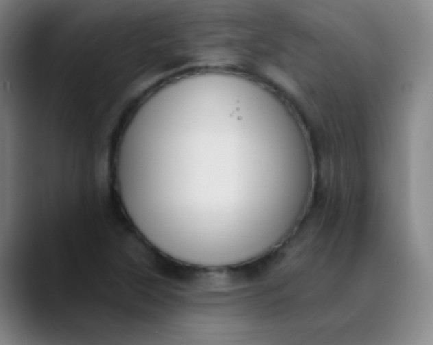 X0000089861315200707121729