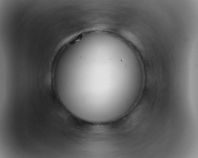 X0000089861316200707121729